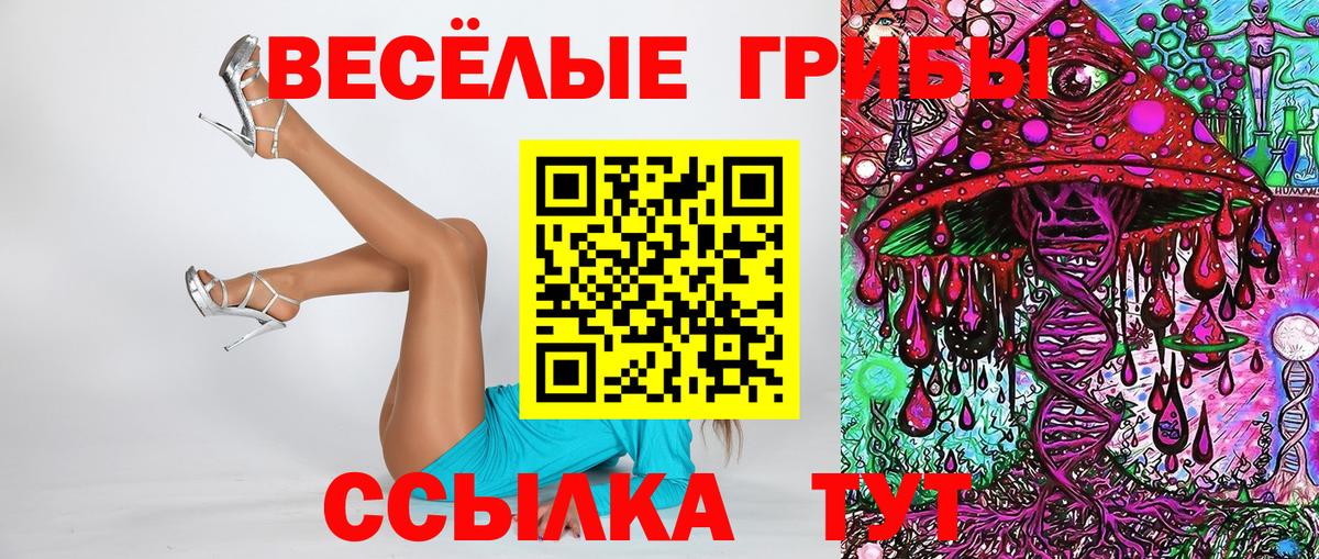закладка  Вход с VPN  Будённовск  Псилоцибиновые грибы ЛСД 