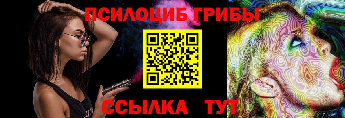 Псилоцибиновые грибы прущие грибы Будённовск